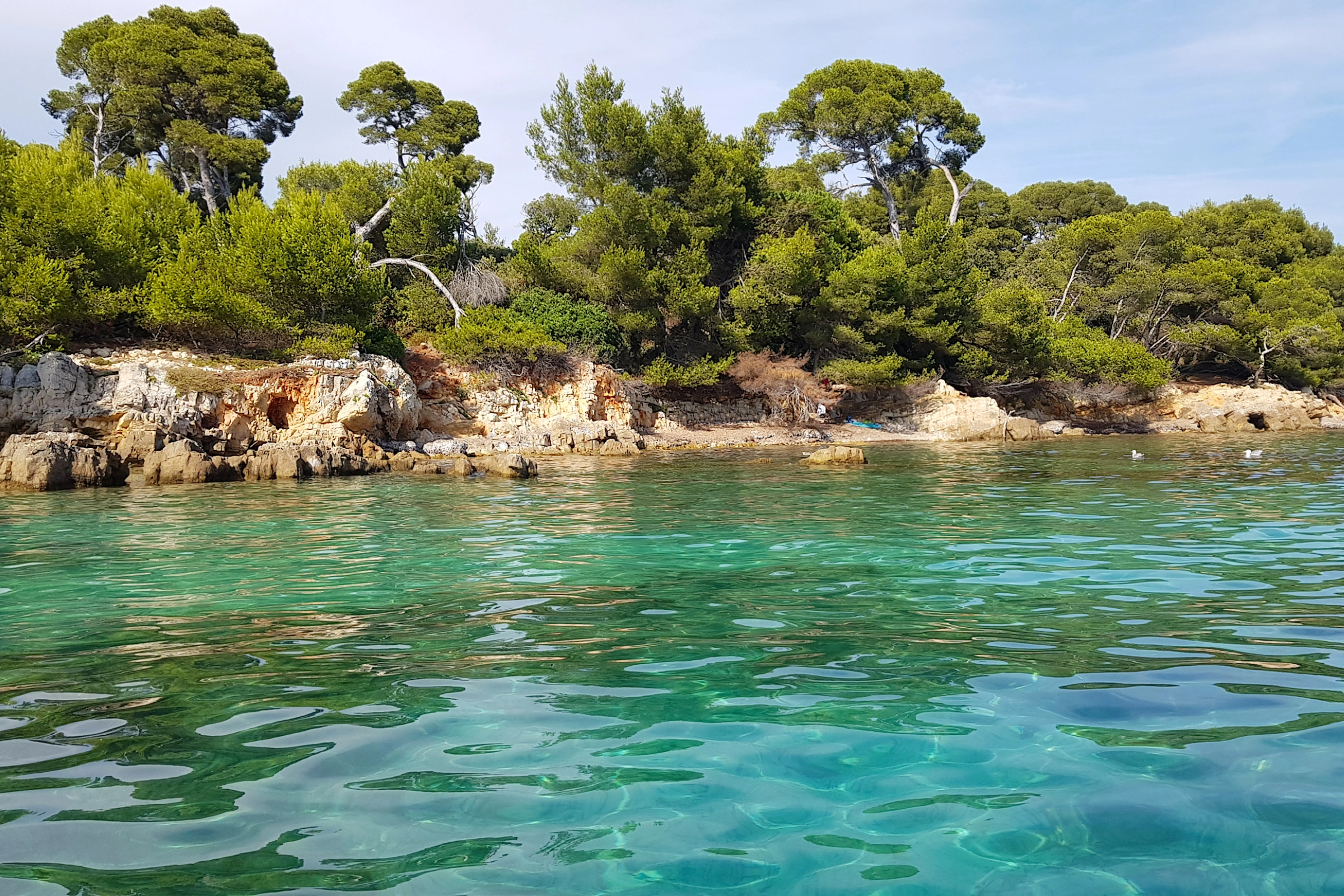 Marguerite_Bay[1].webp